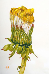artist tracy lang of ryderville ink bainbridge island