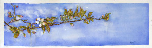 artist tracy lang of ryderville ink bainbridge island